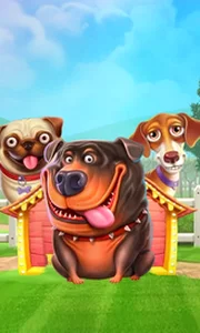 The Dog House
